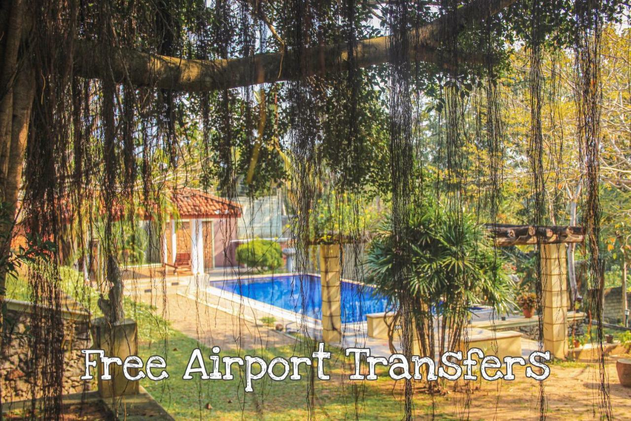 Airport Green Olive Villa Katunayaka Ngoại thất bức ảnh